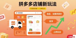 拼多多店铺新玩法,代发供应链上拼玩法-风淘社