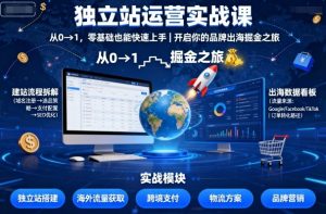 独立站运营实战课,从0到1,零基础也能快速上手,开启你的品牌出海掘金之旅-风淘社