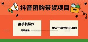 抖音团购带货项目,一部手机简单操作,一周3k+-风淘社