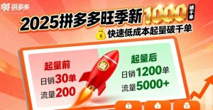 2025拼多多旺季新老店铺——快速低成本起量破千单-风淘社