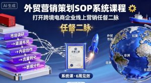 外贸营销策划SOP系统课程,打开跨境电商企业线上营销任督二脉-风淘社