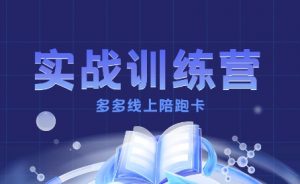 多多实战训练营,从0到1打造一个真正賺钱的店铺-风淘社