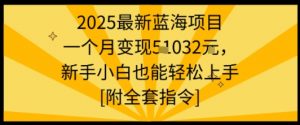 2025最新蓝海项目一个月变现1w+新手小白也能轻松上手【附全套指令】-风淘社