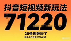 抖音短视频新玩法，20条视频挣了1w+，新手小白当天也可以出单-风淘社