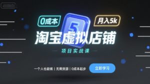 淘宝虚拟店铺项目实战课，一个人也能做，无需货源、0成本起步，月入5k-风淘社