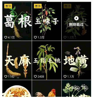 抖音中草药赛道,用AI做中草药故事视频,45条作品涨粉13W,橱窗带货猛猛出单-风淘社