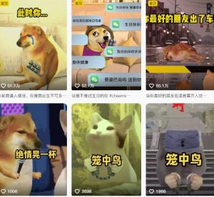 狗头幸运星UE5动画全套课程,从入门到实操全掌握-风淘社