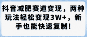 抖音减肥赛道变现，两种玩法轻松变现3W+，新手也能快速复制-风淘社