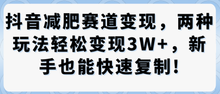 抖音减肥赛道变现,两种玩法轻松变现3W+,新手也能快速复制-风淘社
