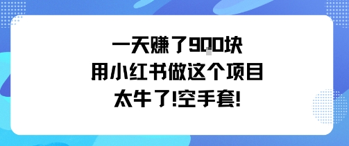 一天挣了9张用小红书做这个项目太牛了，空手套-风淘社