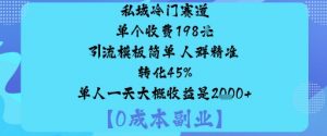 私域冷门赛道:单个收费198米引流模板简单人群精准转化45%单人一天大概收益是1k+-风淘社