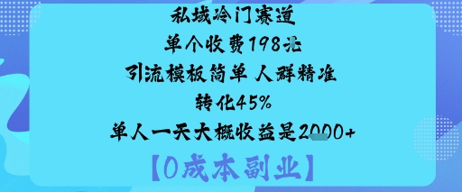 私域冷门赛道:单个收费198米引流模板简单人群精准转化45%单人一天大概收益是1k+-风淘社