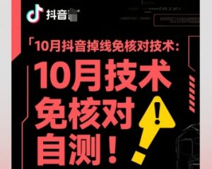 10月抖音掉线免核对技术，不保证百分百，自测-风淘社