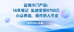 蓝海项目：16条笔记私域变现9750米小众赛道操作的人不多-风淘社