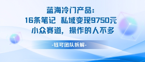 蓝海项目：16条笔记私域变现9750米小众赛道操作的人不多-风淘社