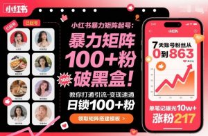 小红书暴力矩阵起号，教你打通引流-变现速通，日锁100+粉，破流量黑盒-风淘社