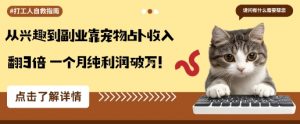 从兴趣到副业靠宠物占卜收入翻3倍一个月纯利润破W-风淘社