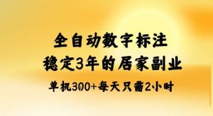 全自动数字标注,稳定3年的蓝海项目,居家也能矩阵开干的副业,单机日入3张+【揭秘】-风淘社