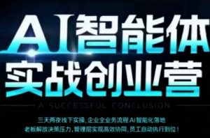 AI智能体实体战创业营(深圳9月23-25日),多维度助力老板、管理层、员工提升效能-风淘社