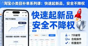 淘宝小类目补单系列课,快速起新品,安全不降权-风淘社