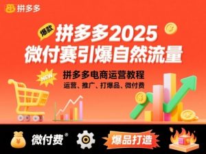 拼多多2025微付费引爆自然流量,拼多多电商运营教程,运营、推广、打爆品、微付费(更新)-风淘社
