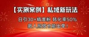 【实测案例】私域新玩法,日引30+精准粉,转化率50%,新人照做也能出单!-风淘社