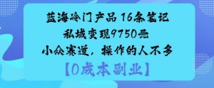蓝海冷门产品：16条笔记私域变现9750米小众赛道，操作的人不多-风淘社