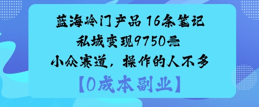 蓝海冷门产品：16条笔记私域变现9750米小众赛道，操作的人不多-风淘社