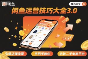 闲鱼运营技巧大全3.0,引爆店铺流量,手把手教你玩转二手电商平台-风淘社
