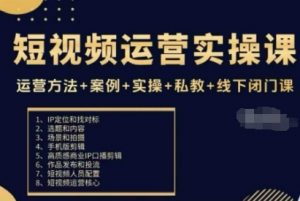 短视频运营实操课，运营方法+案例+实操+私教+线下闭门课-风淘社