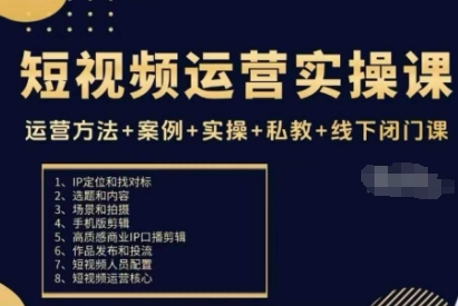 短视频运营实操课,运营方法+案例+实操+私教+线下闭门课-风淘社