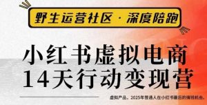 小红书虚拟电商14天变现训练营3.0,虚拟产品,2025年普通人在小红书最后的搞钱机会-风淘社