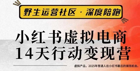 小红书虚拟电商14天变现训练营3.0,虚拟产品,2025年普通人在小红书最后的搞钱机会-风淘社