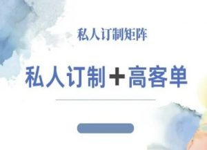 小红书自媒体咨询师IP教程,私人定制+高客单-风淘社