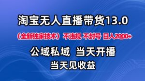 淘宝无人直播13.0,公域私域技术,不封号,不违规布局下半年旺季赛道,日入1K+(独家技术)【揭秘】-风淘社