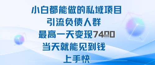 2025年小白都能做的私域项目引流负债人群最高一天变现1k+高变现难度低当天就能见到钱上手快-风淘社
