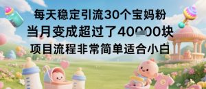 每天稳定引流30个宝妈粉当月变成超过了1W+项目流程非常简单适合小白-风淘社
