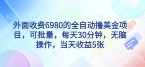 外面收费6980的全自动撸美刀项目，可批量，每天30分钟，无脑操作，当天收益5张【揭秘】-风淘社