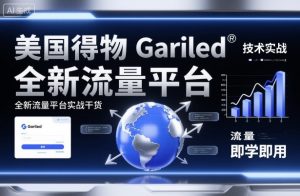 美国得物Gariled技术实战,全新流量平台实战干货,即学即用-风淘社
