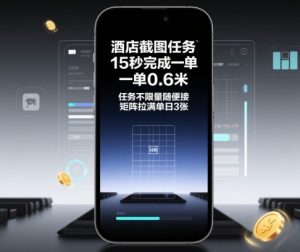酒店截图任务,15秒完成一单,一单0.6米,任务不限量随便接,矩阵拉满单日3张【揭秘】-风淘社