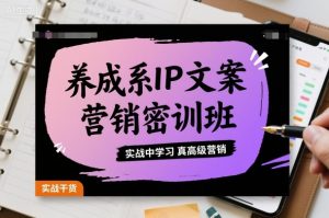 养成系IP文案营销密训班,实战中学习真高级营销-风淘社