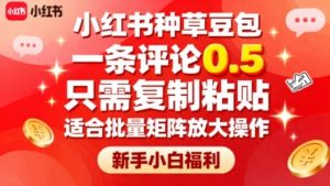 小红书种草豆包,一条评论0.5,只需复制粘贴,适合批量矩阵放大操作,新手小白福利-风淘社