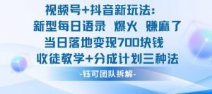 视频号加抖音新玩法:爆火新型每日语录,收徒教学加分成计划,三种变现玩法,当日变现7张-风淘社
