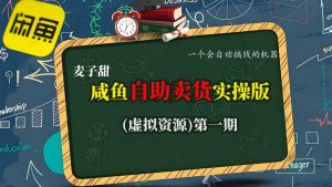 麦子甜咸鱼自助卖货实操版(虚拟资源)一个会自动搞钱的机器-风淘社