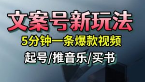 文案号新玩法,5分钟一条爆款视频,流量高,起号快,多方位变现-风淘社