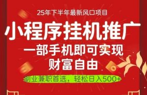 一部手机即可实现财富自由,微信小程序推广最新玩法教学,操作简单容易上手【揭秘】-风淘社