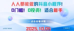 人人都能做的抖音小程序,0门槛0成本,适合新手-风淘社