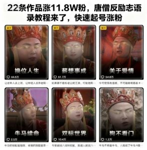 22条作品涨11.8W粉,唐僧反励志语录教程来了,快速起号涨粉-风淘社