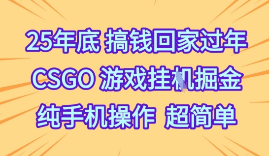 25年底搞钱回家过年,CSGO游戏挂G掘金,纯手机操作超简单【揭秘】-风淘社