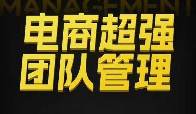 电商超强团队管理,组织绩效,到用人执行,分权合伙-风淘社